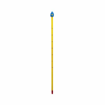 Thermometer, Celsius, 12″