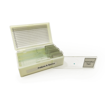 Pollen & Spores Slide Set