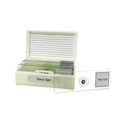 Plants Slide Set