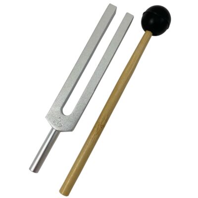 Tuning Fork and Striker